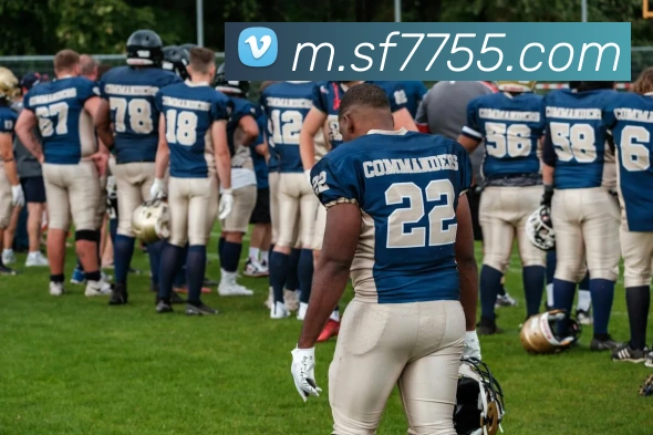 顺发彩票网全站App